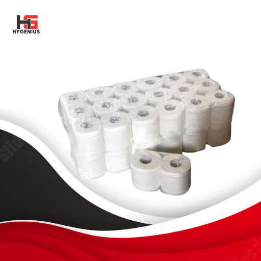 Bathroom Tissue 2ply ( 48pcs/pack | 300 sheets | Virgin Pulp Organic | Tissue Paper)